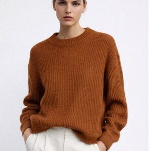 Everlane Cocoon Crew in Alpaca in Warm Rust Brown
